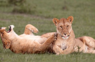 Marketer muốn chạy thật nhiều campain marketing