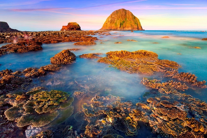 Aff: Cộng tác viên nhận khách hàng từ Website