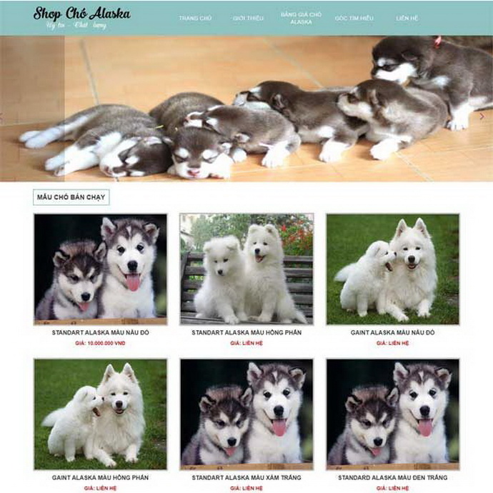 Combo Thiết kế web mua bán thú cưng - Hình ảnh 2