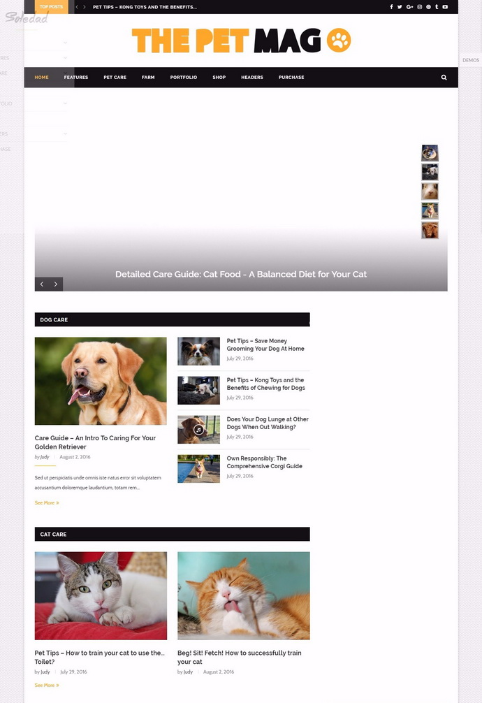 Combo Thiết kế web mua bán thú cưng - Hình ảnh 5