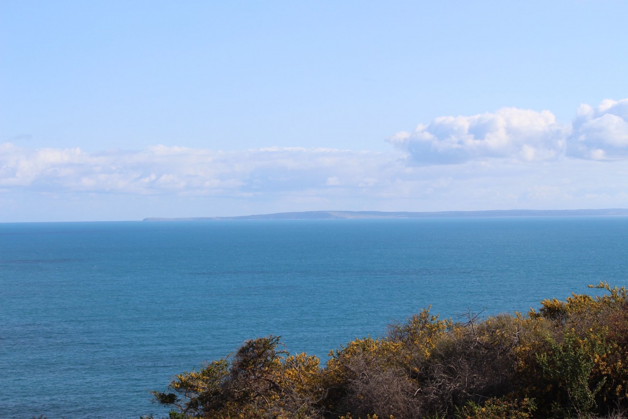 Thiết kế layout: Thành viên